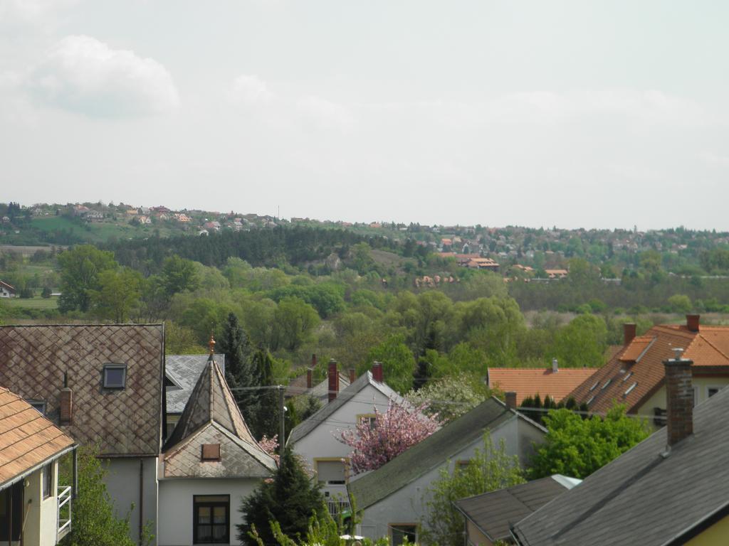 Kristaly Apartman Bed & Breakfast Heviz Exterior photo